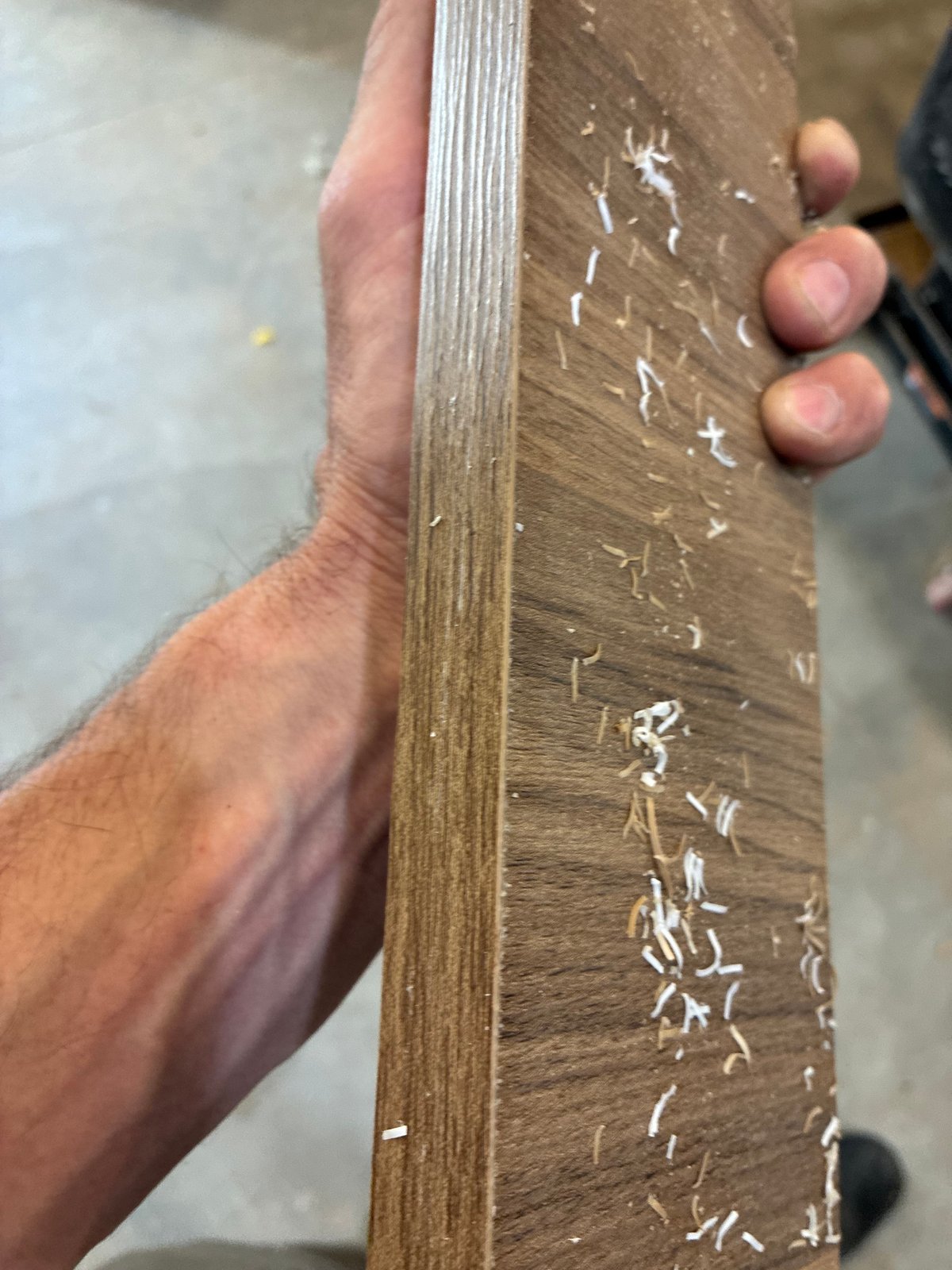 Close-up of a woodgrain panel edge with trimming shavings still visible